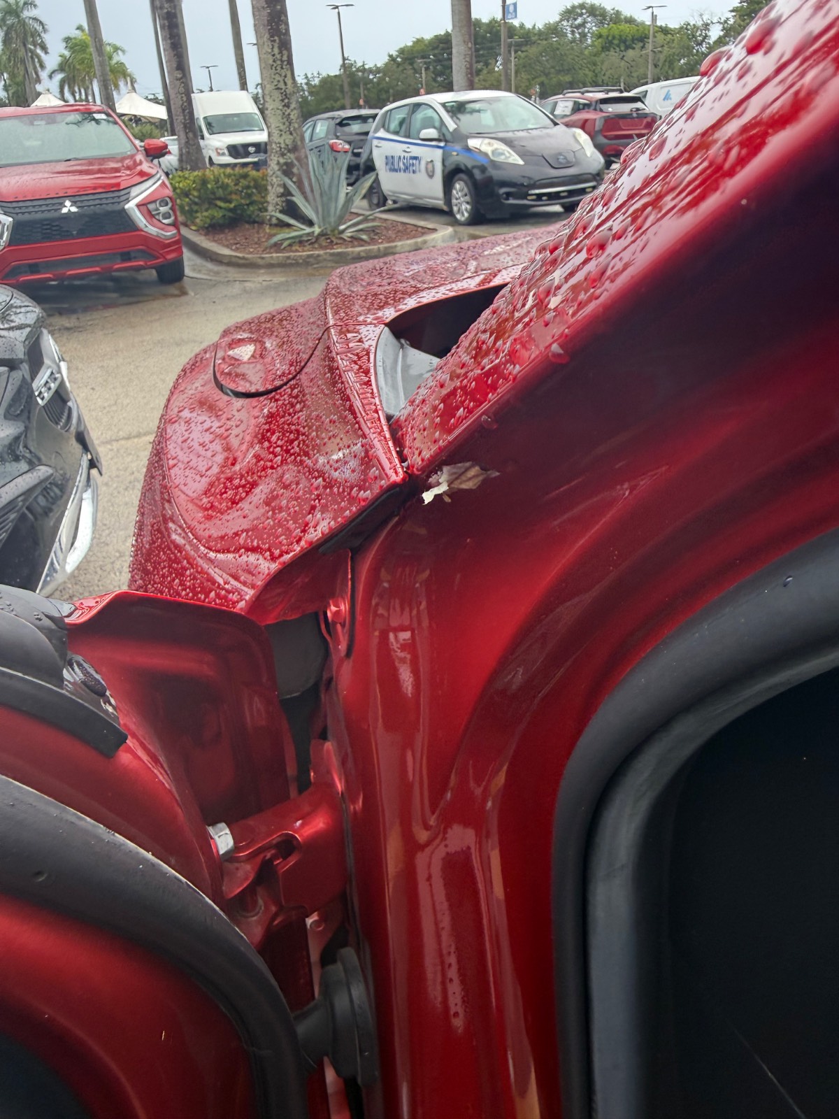 Repainted / repaired panel · Front bumper, Left front fender 3