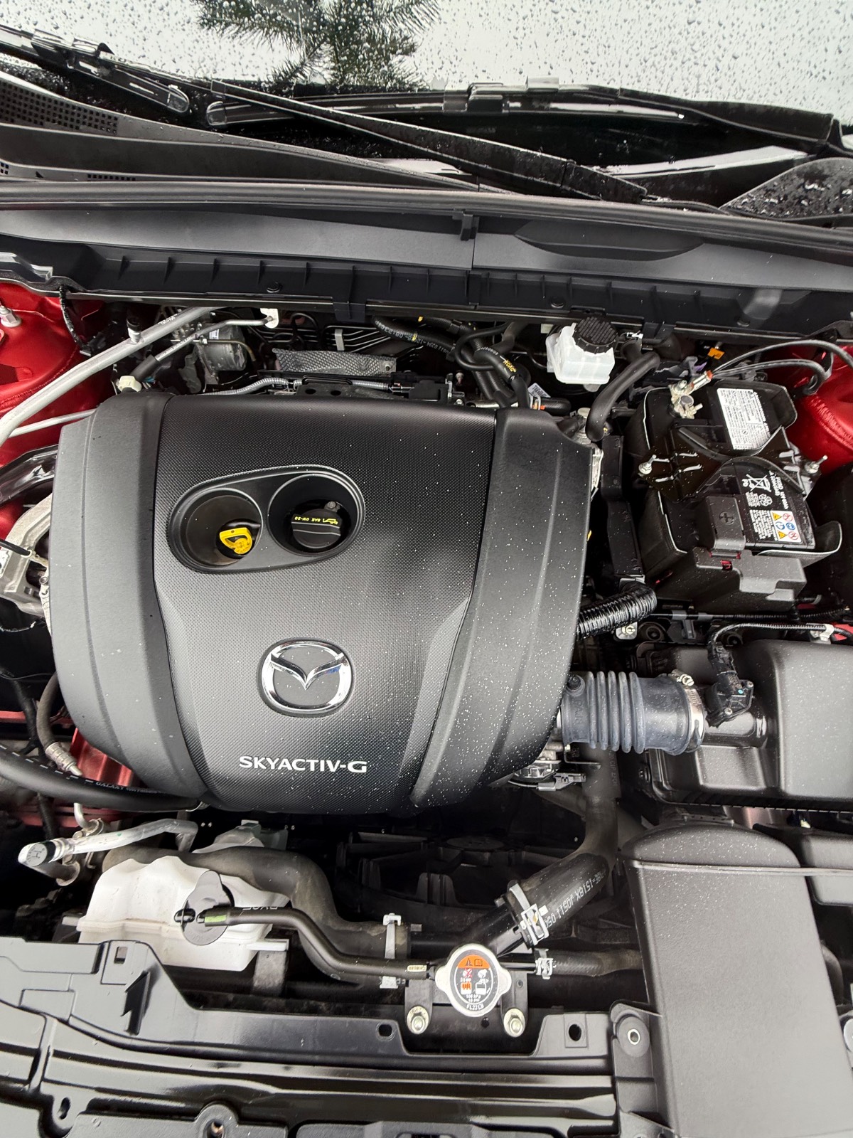 2024 Mazda CX-50 Photo 13